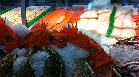 city fish co|All Products – City Fish.